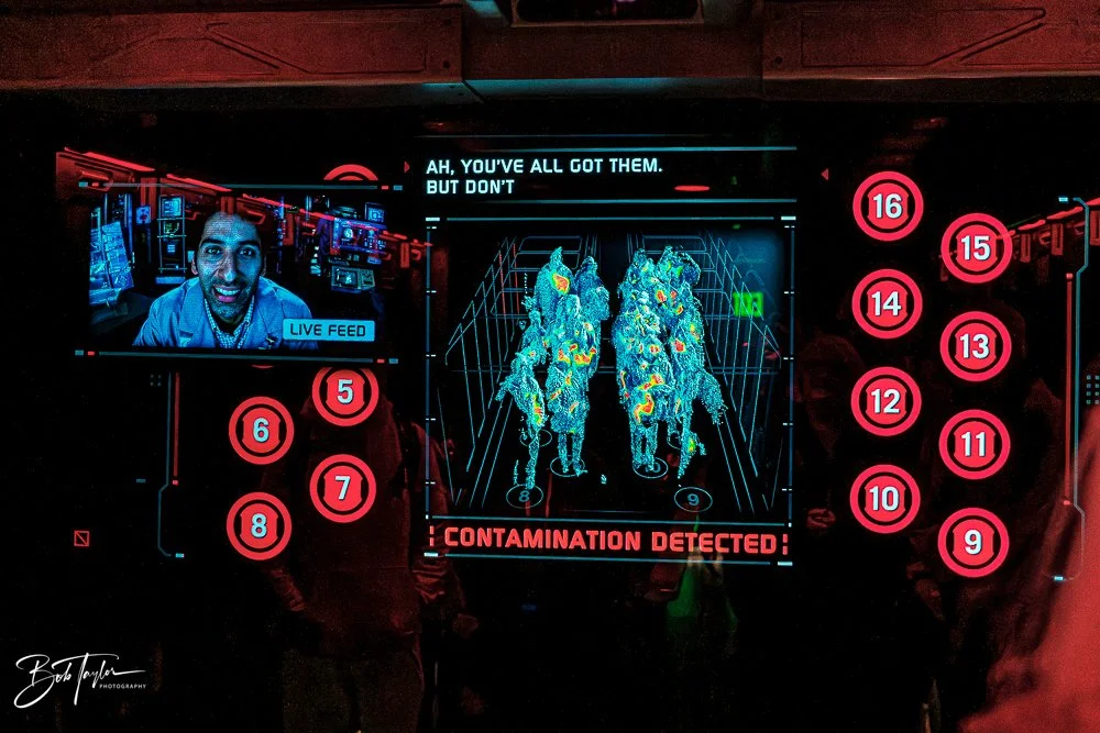 20260127-Animal Kingdom All -14.jpg