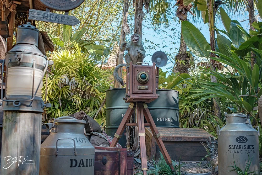 20260128-Magic Kingdom All -108.jpg