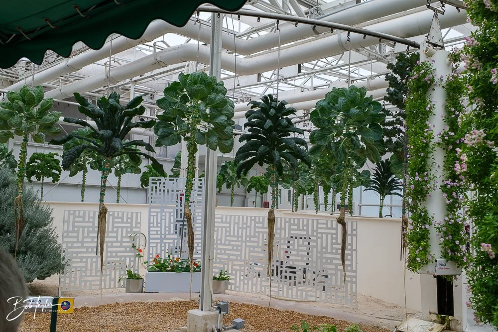 20260126-EPCOT All -41.jpg