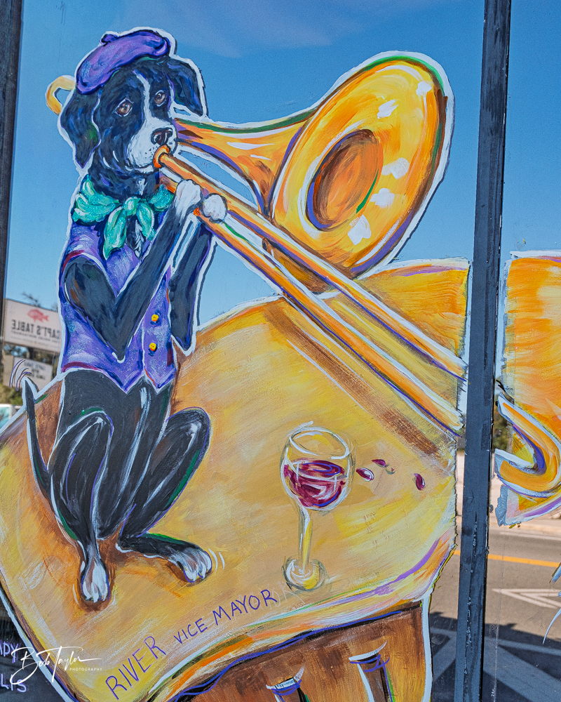 20260115-Mardi Gras Windows -98.png