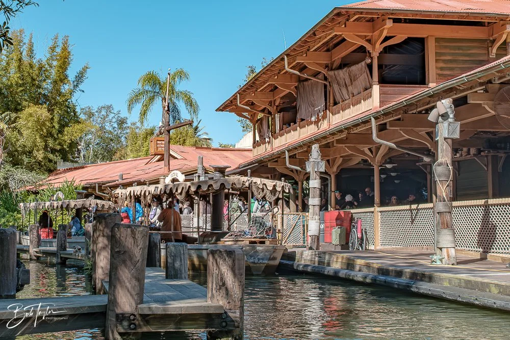 20260128-Magic Kingdom All -110.jpg