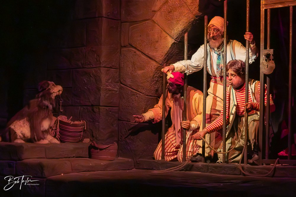 20260128-Magic Kingdom All -78.jpg