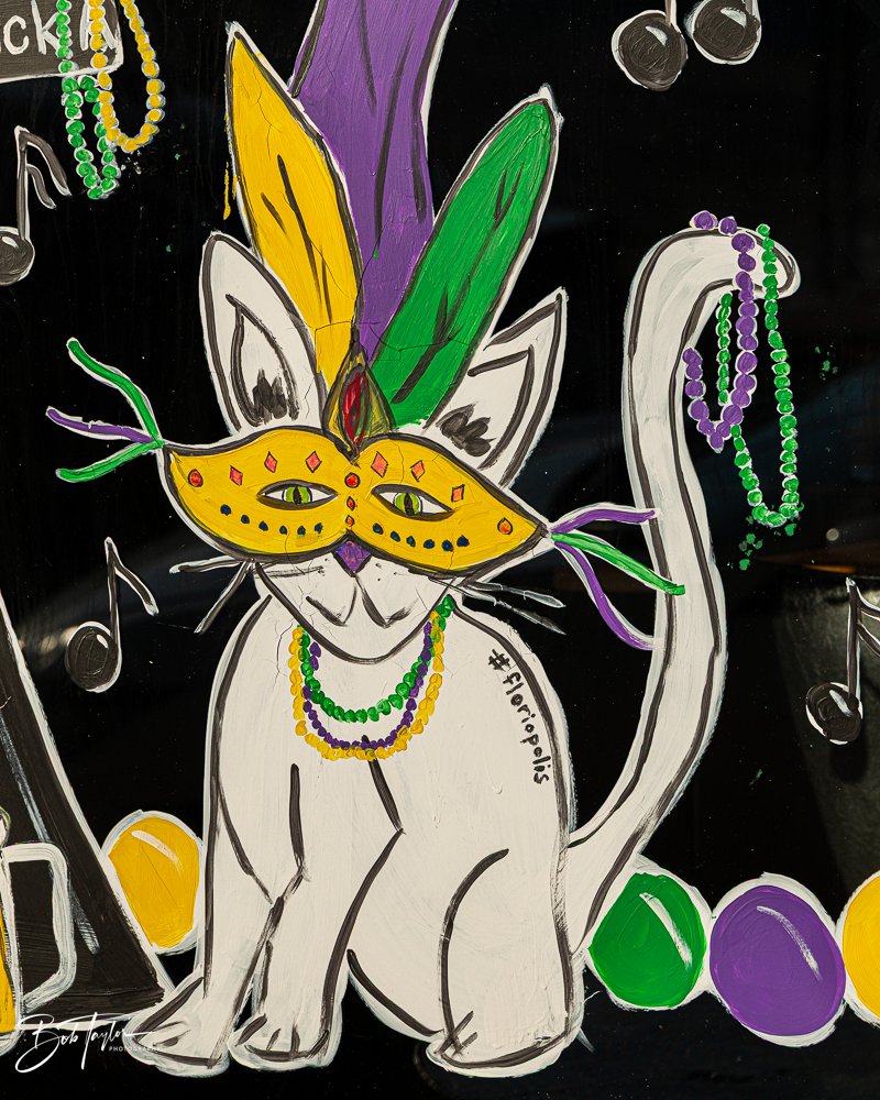 20260115-Mardi Gras Windows -37.png