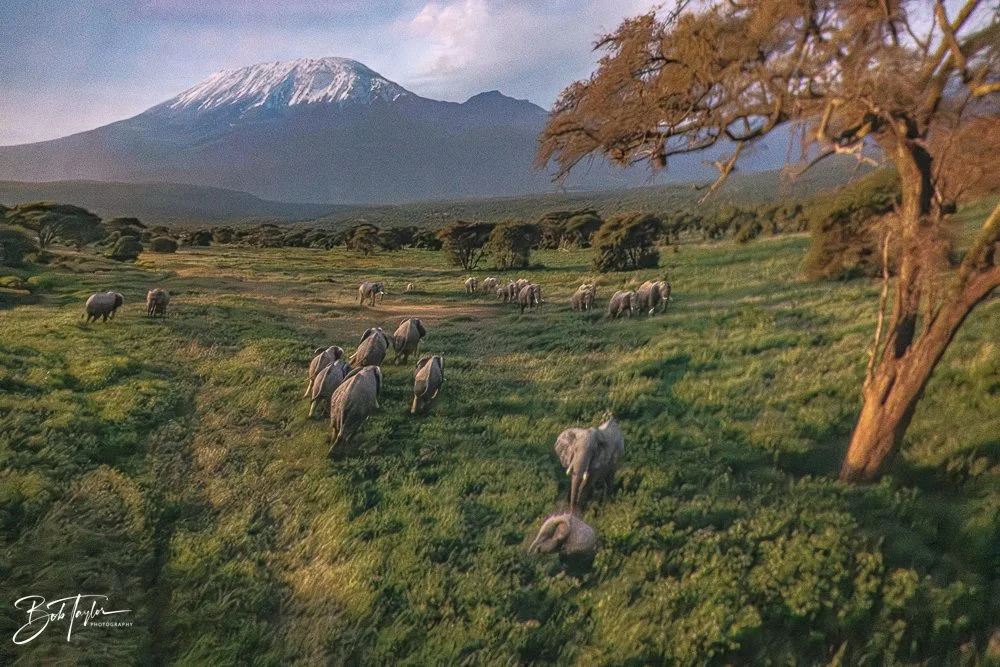 20260126-EPCOT All -65.jpg