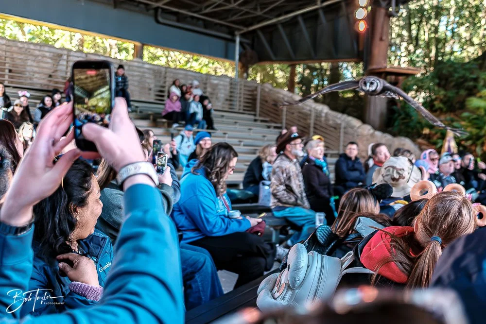 20260127-Animal Kingdom All -37.jpg