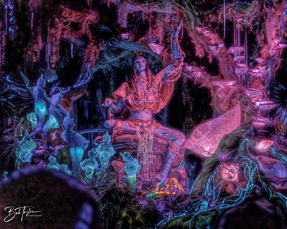 20260127-Animal Kingdom All -127.jpg