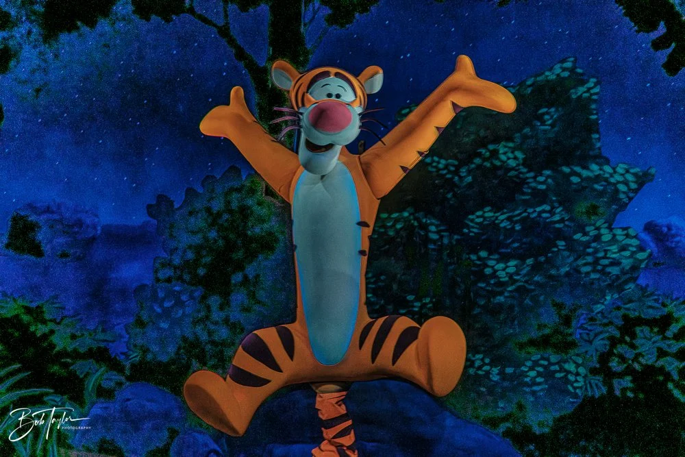 20260128-Magic Kingdom All -20.jpg