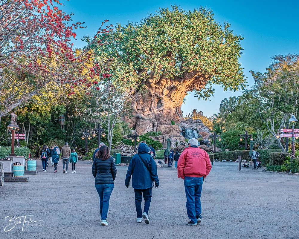 20260127-Animal Kingdom All -3.jpg