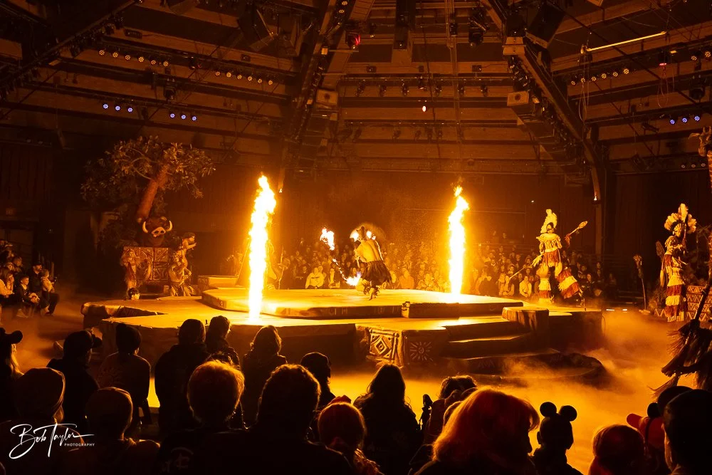 20260127-Animal Kingdom All -143.jpg