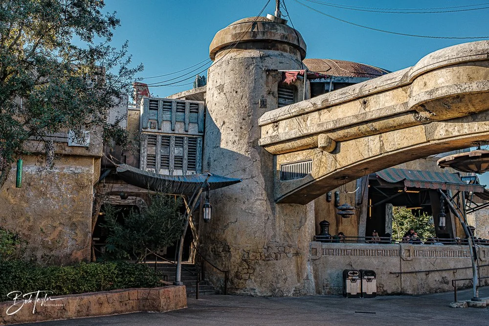 20260129-Hollywood Studios All -51.jpg