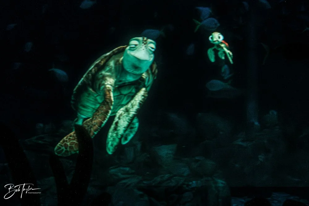 20260126-EPCOT All -50.jpg