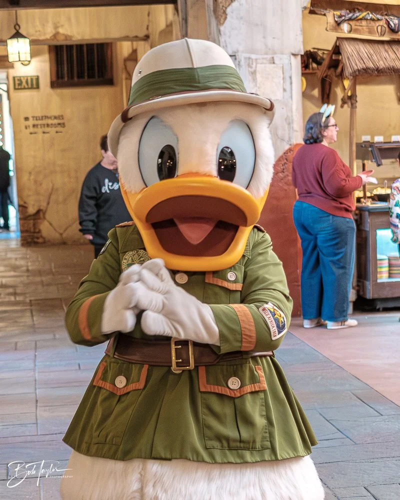 20260127-Animal Kingdom All -22.jpg