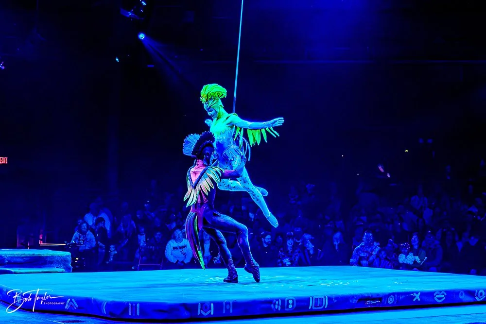 20260127-Animal Kingdom All -149.jpg