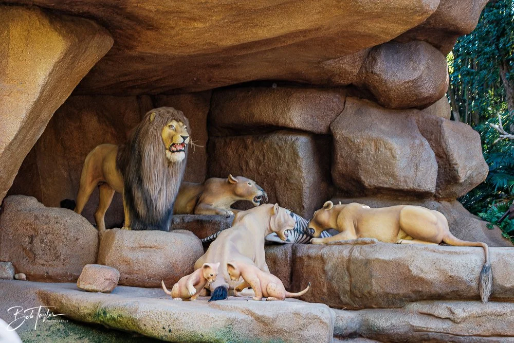 20260128-Magic Kingdom All -98.jpg