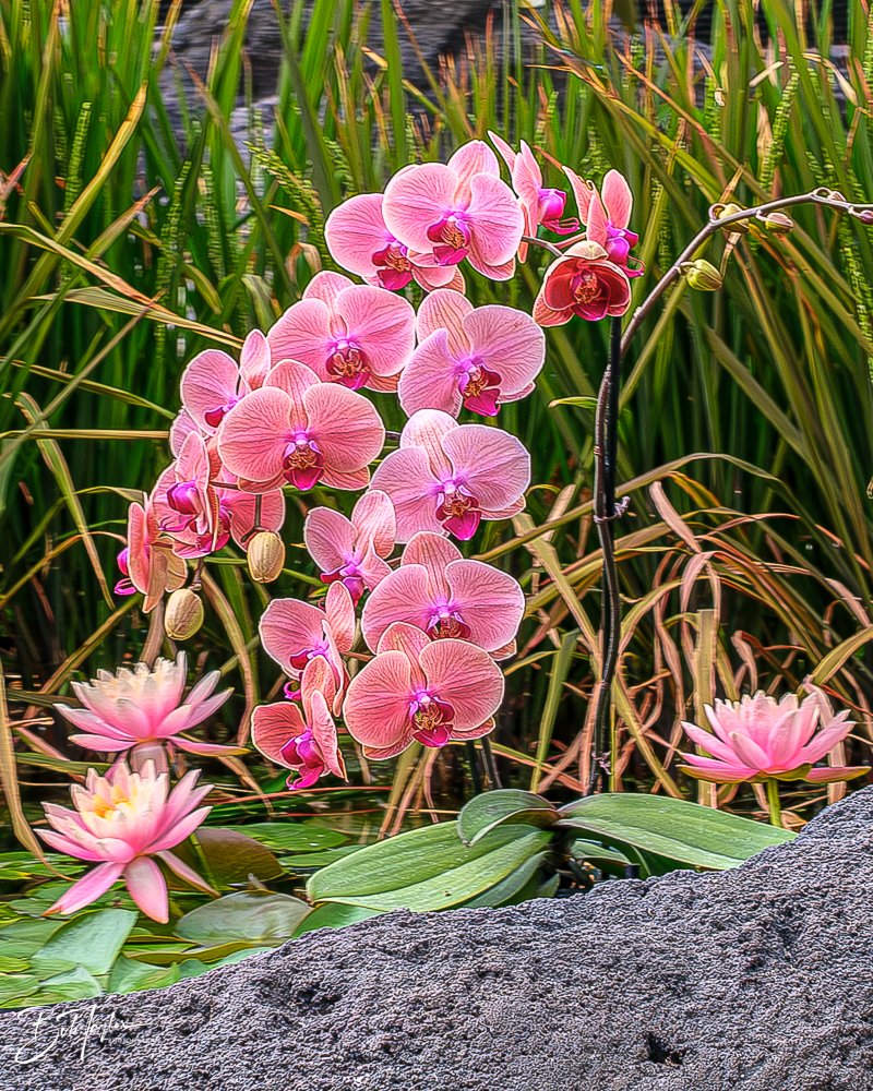 20260126-EPCOT All -38.jpg