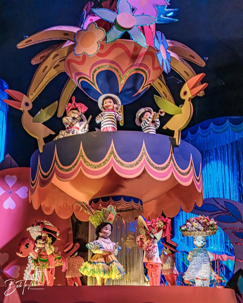 20260128-Magic Kingdom All -47.jpg