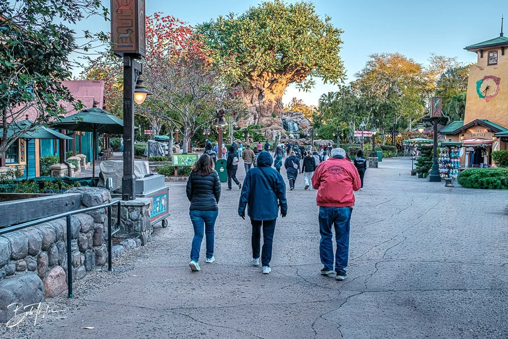 20260127-Animal Kingdom All -2.jpg