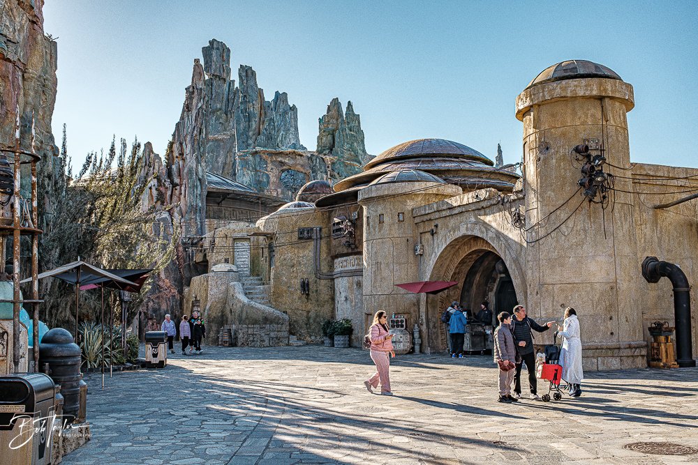 20260129-Hollywood Studios All -46.jpg