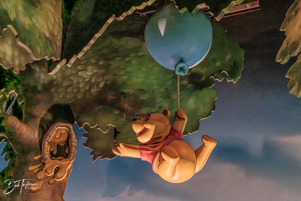 20260128-Magic Kingdom All -17.jpg