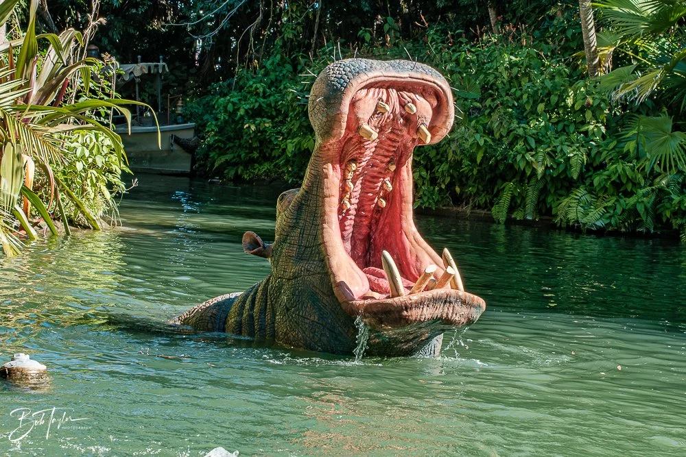 20260128-Magic Kingdom All -100.jpg