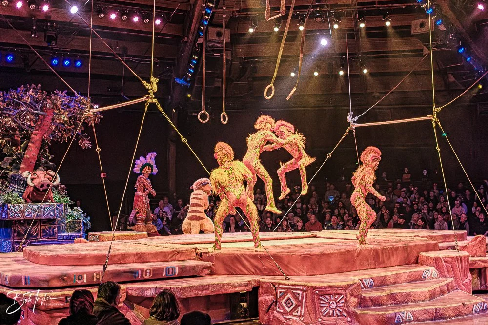 20260127-Animal Kingdom All -139.jpg