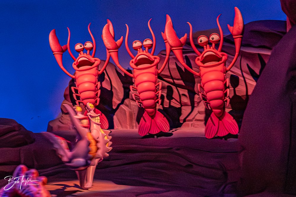 20260128-Magic Kingdom All -222.jpg