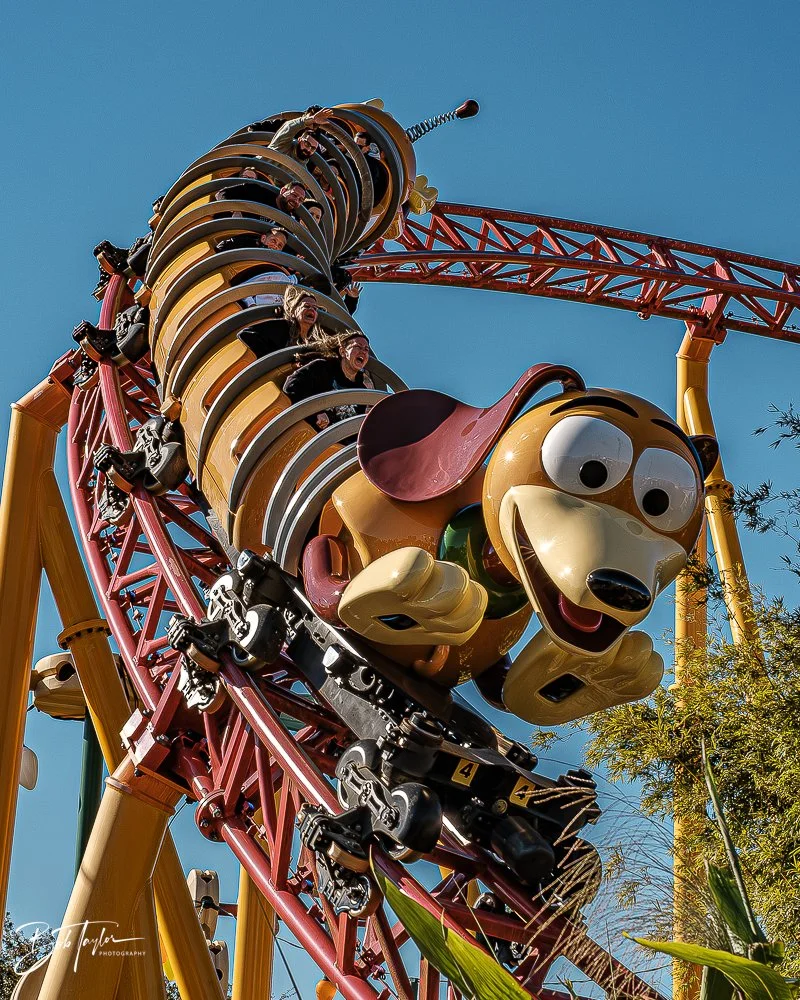 20260129-Hollywood Studios All -70.jpg