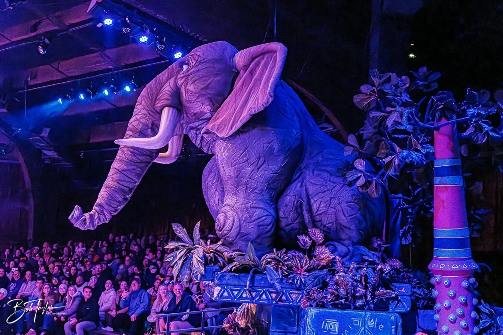 20260127-Animal Kingdom All -137.jpg