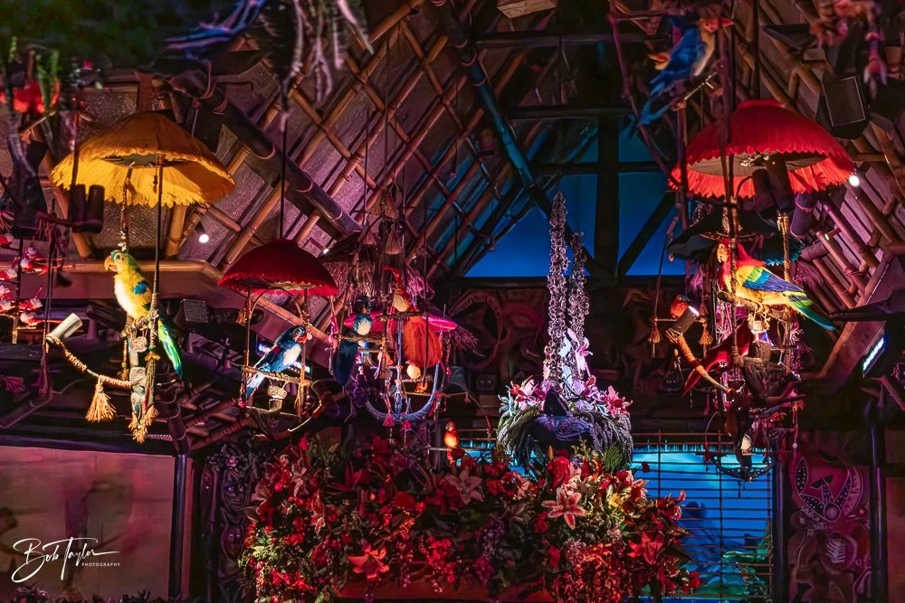 20260128-Magic Kingdom All -90.jpg