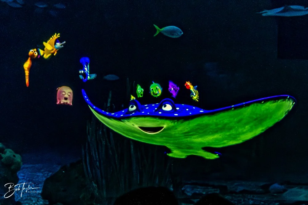 20260126-EPCOT All -49.jpg