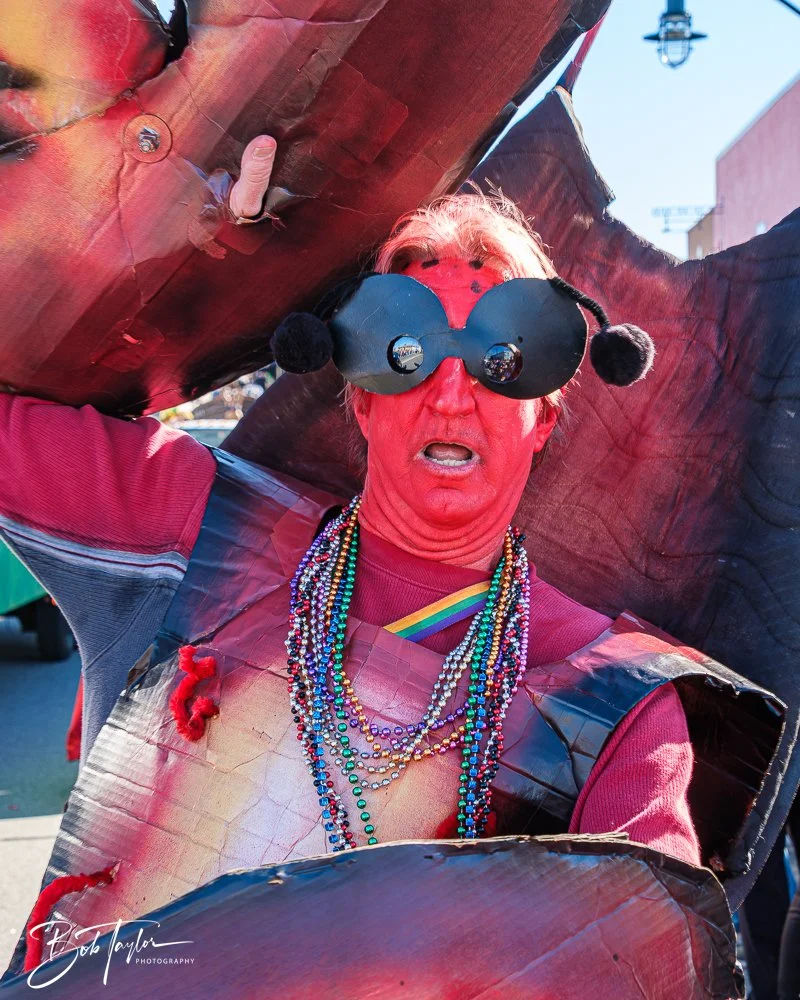 20260207-Mardi Gras Parade -105.jpg