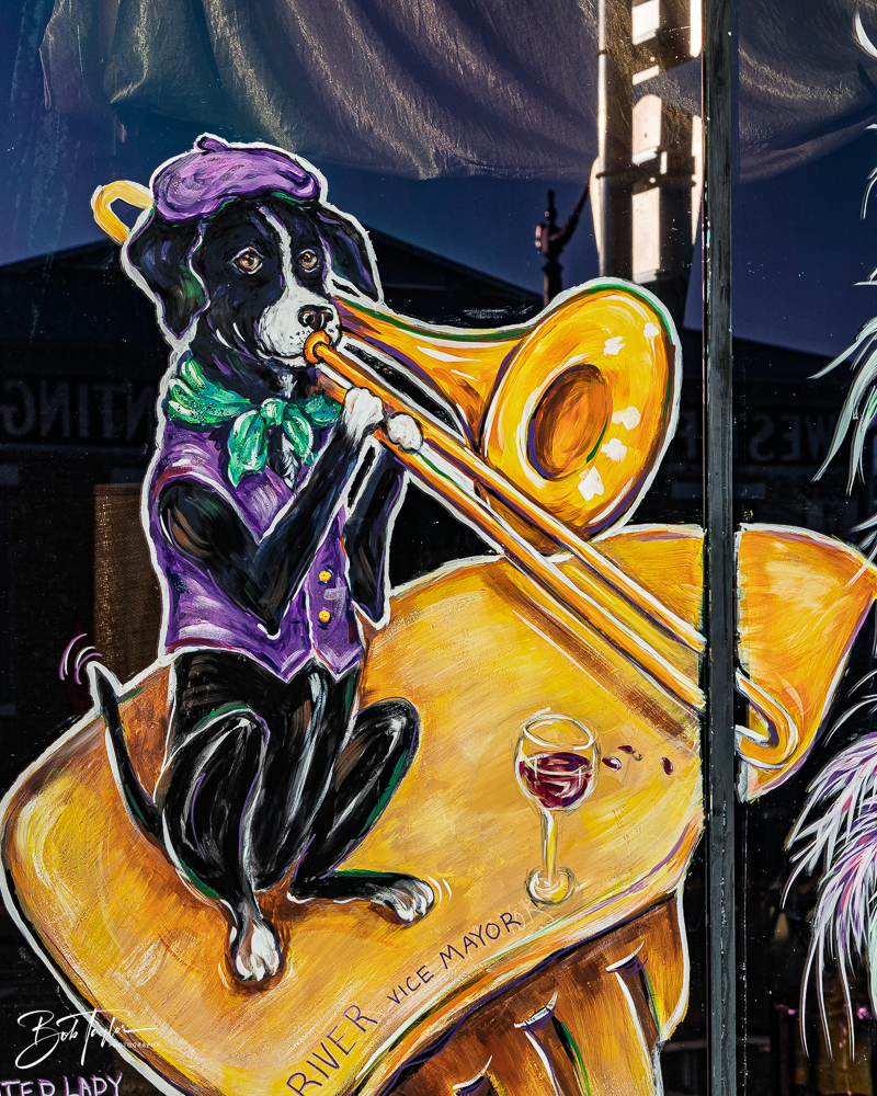 20260115-Mardi Gras Windows -33.png