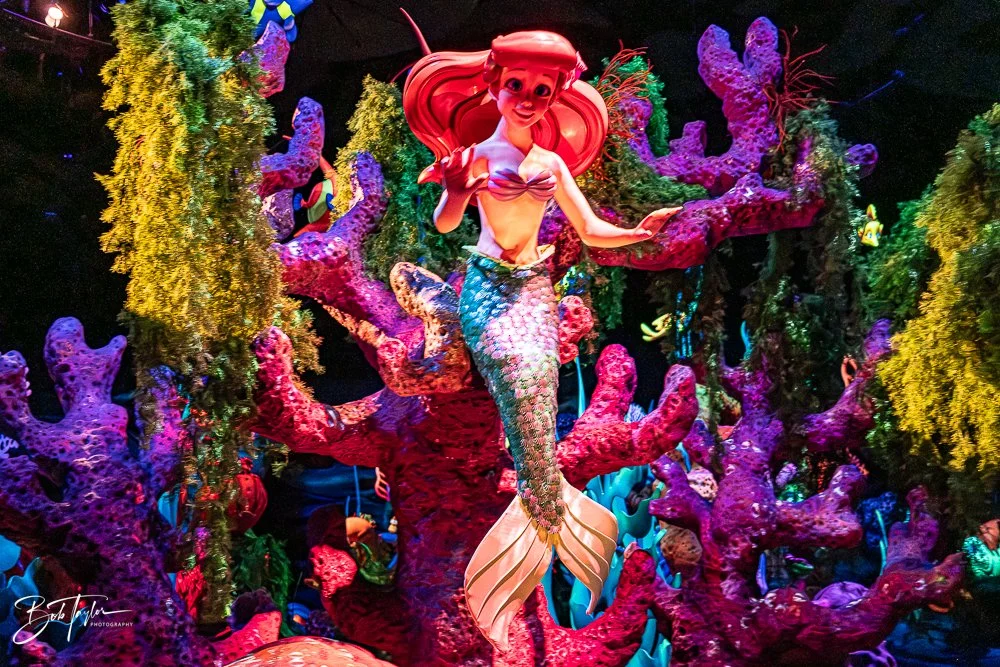 20260128-Magic Kingdom All -214.jpg