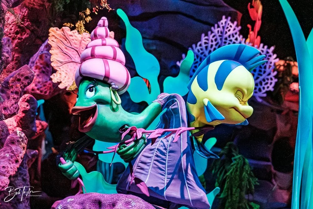 20260128-Magic Kingdom All -215.jpg