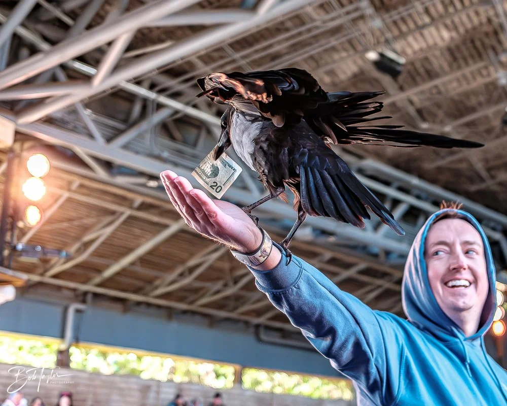 20260127-Animal Kingdom All -31.jpg