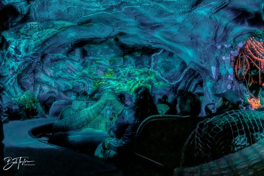 20260127-Animal Kingdom All -130.jpg