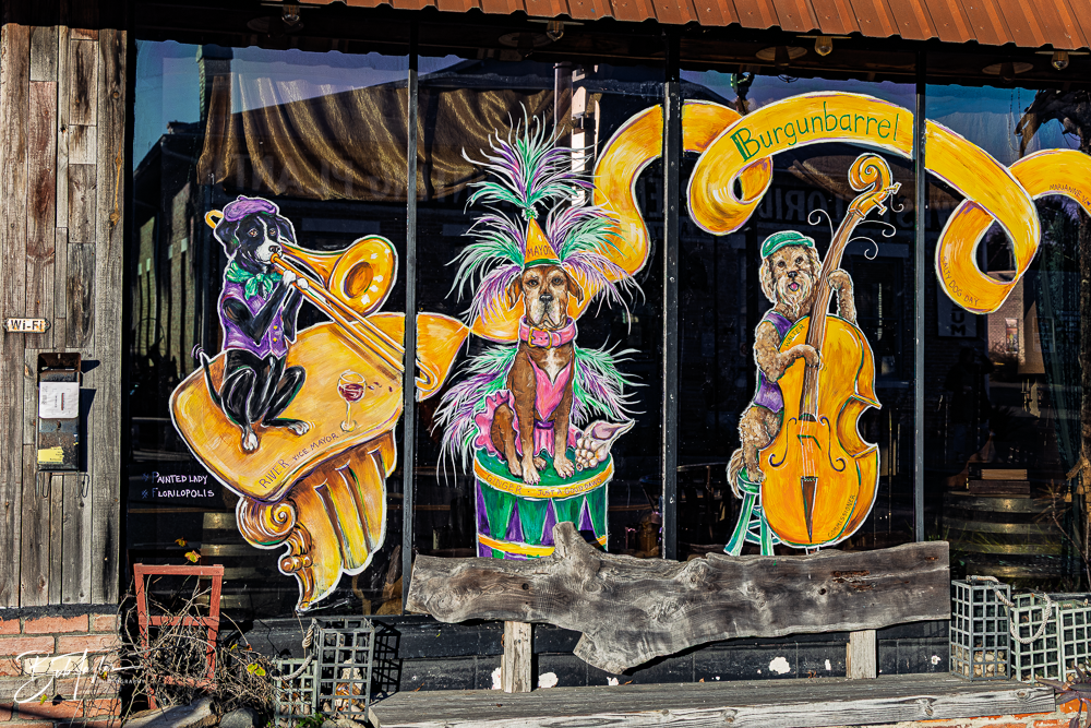 20260115-Mardi Gras Windows -32.png