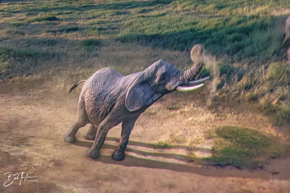 20260126-EPCOT All -66.jpg