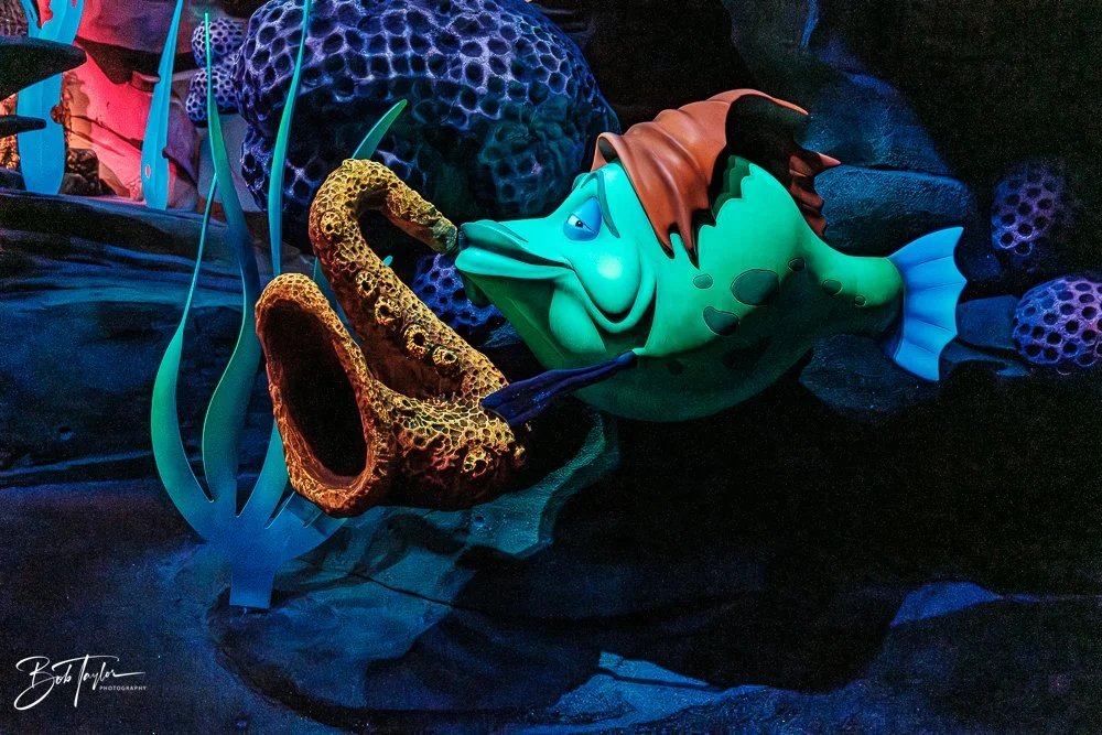 20260128-Magic Kingdom All -216.jpg