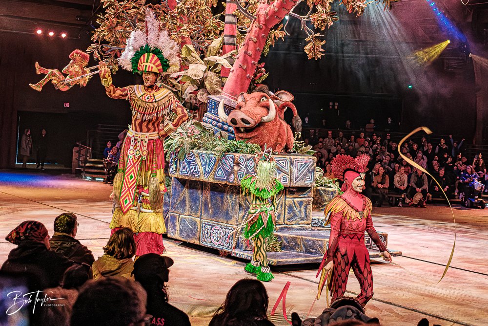 20260127-Animal Kingdom All -136.jpg