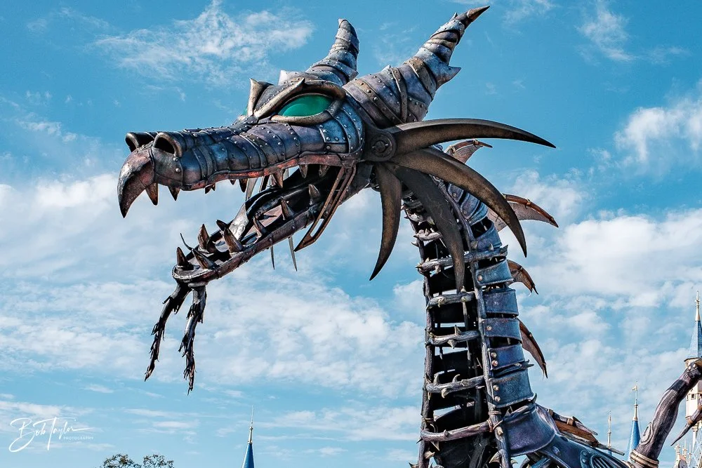 20260128-Magic Kingdom All -194.jpg