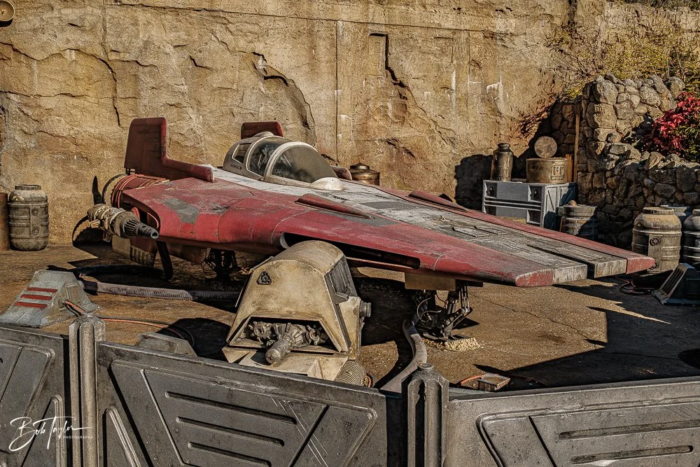 20260129-Hollywood Studios All -54.jpg