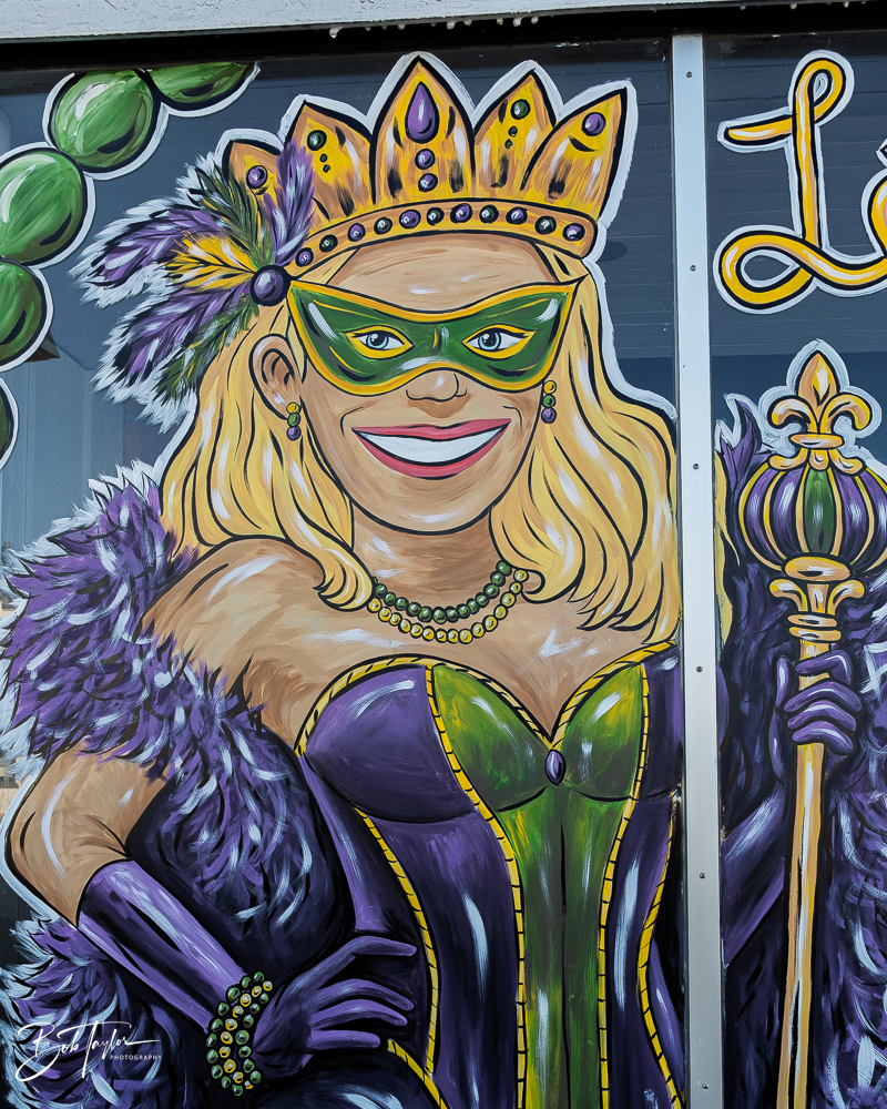 20260115-Mardi Gras Windows -87.png