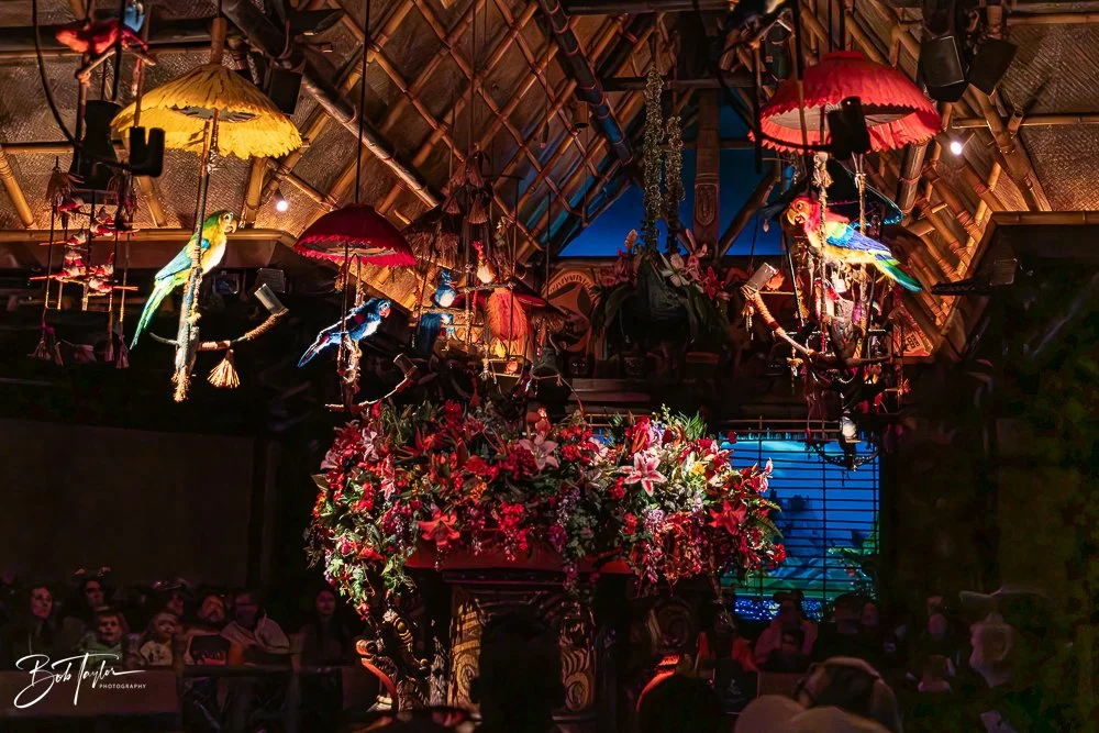 20260128-Magic Kingdom All -88.jpg