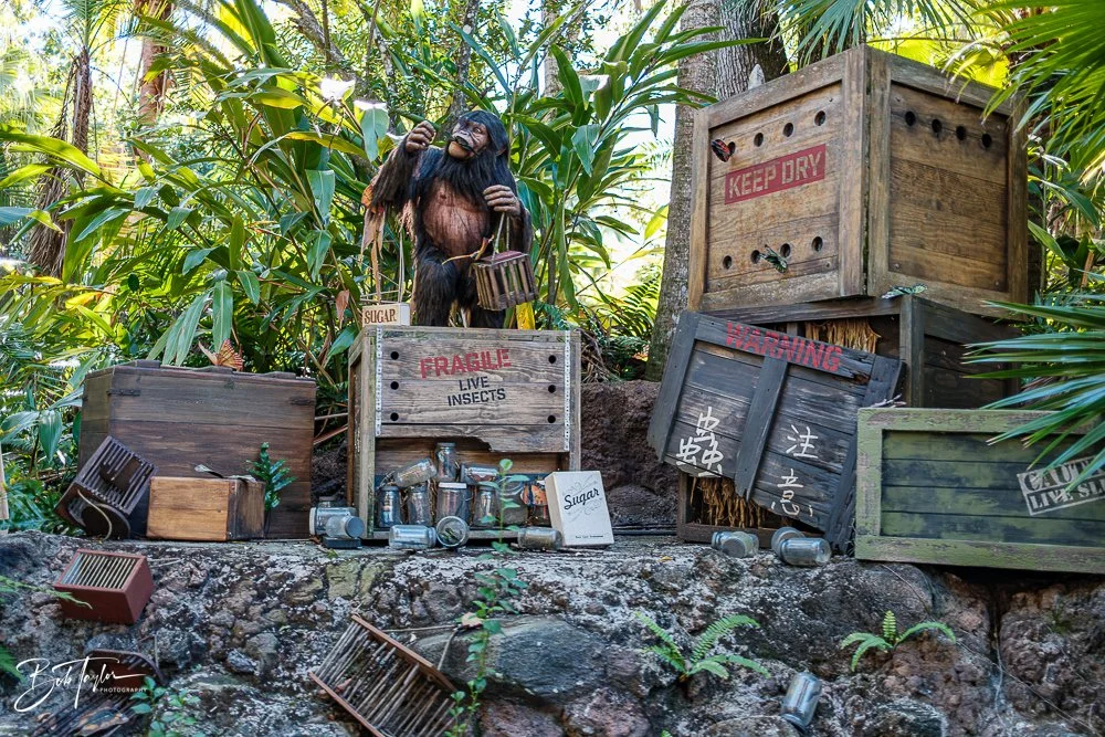 20260128-Magic Kingdom All -101.jpg