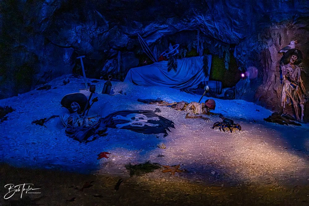 20260128-Magic Kingdom All -67.jpg