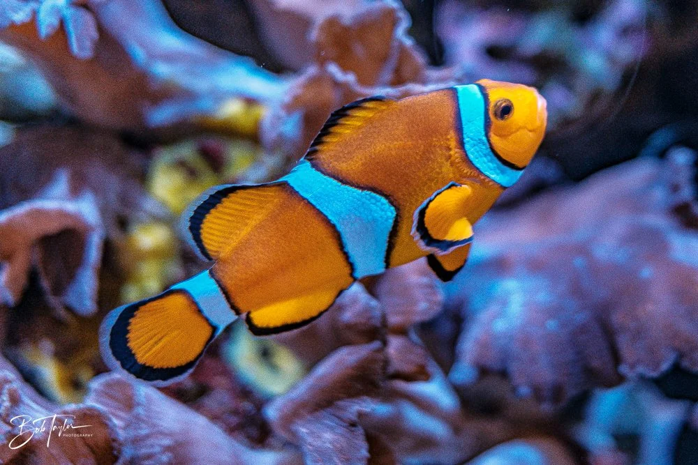 20260126-EPCOT All -57.jpg