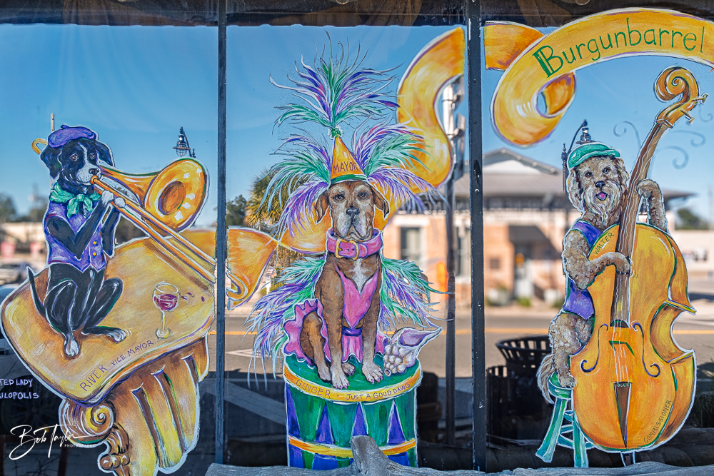 20260115-Mardi Gras Windows -100.png