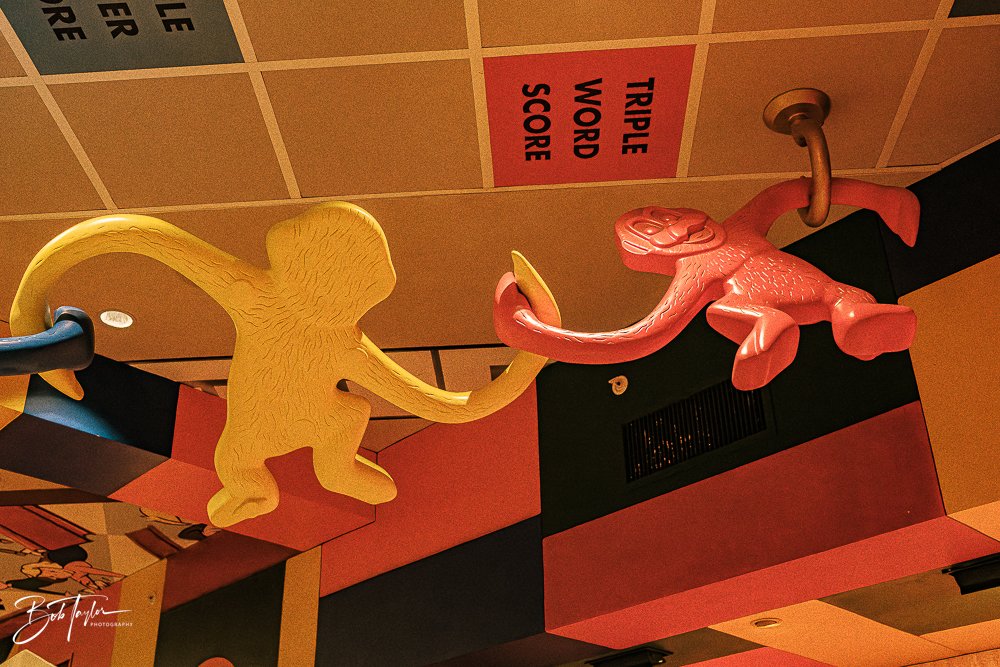 20260129-Hollywood Studios All -27.jpg