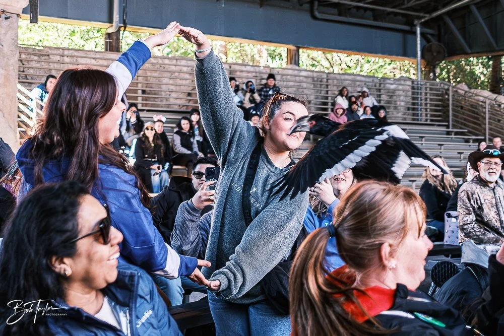 20260127-Animal Kingdom All -23.jpg